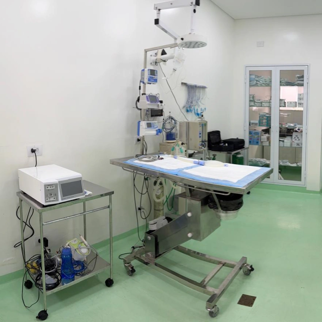 Centro cirúrgico veterinário
