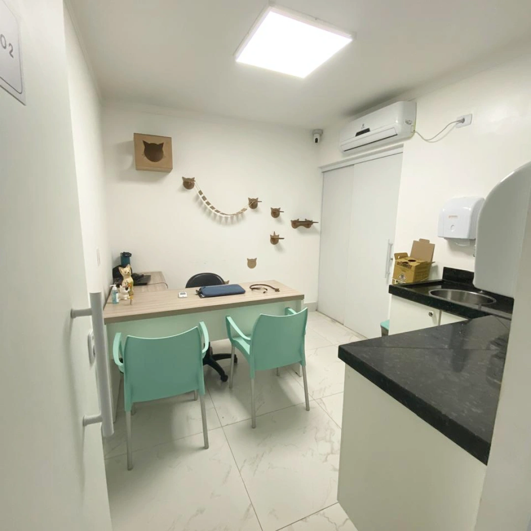 Consultório exclusivo para gatos
